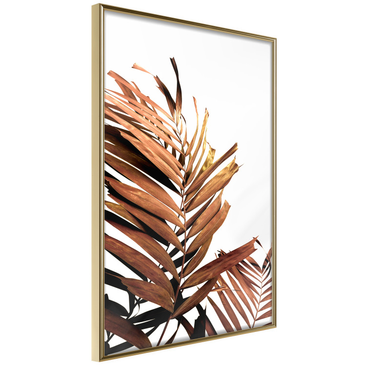 Poster Sunny Effect - tropical leaf in brown hue on white background 123771 additionalImage 14