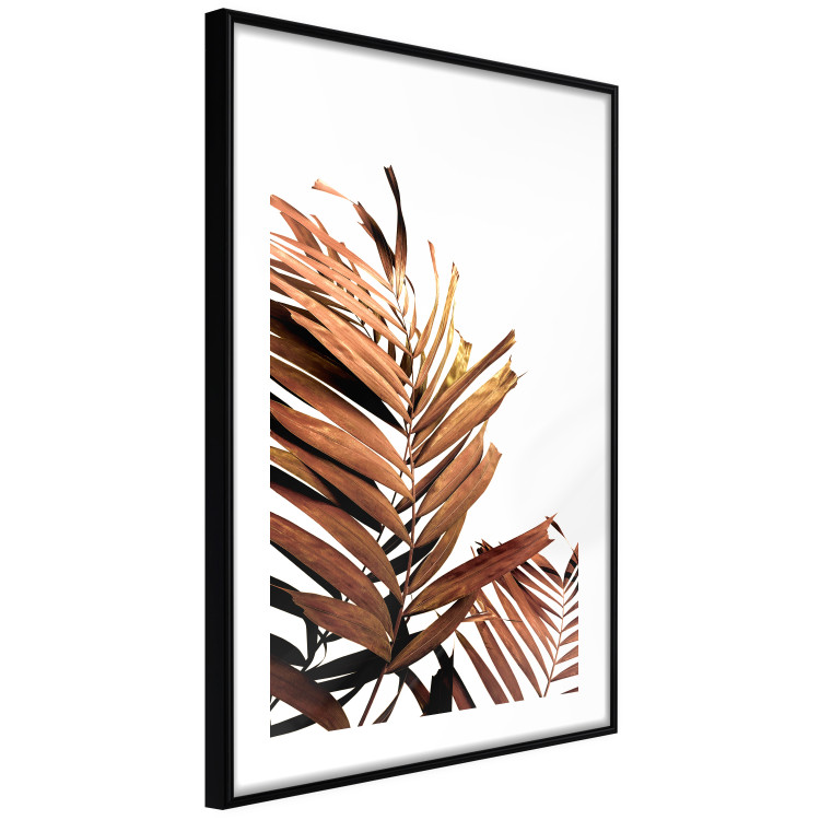 Poster Sunny Effect - tropical leaf in brown hue on white background 123771 additionalImage 11