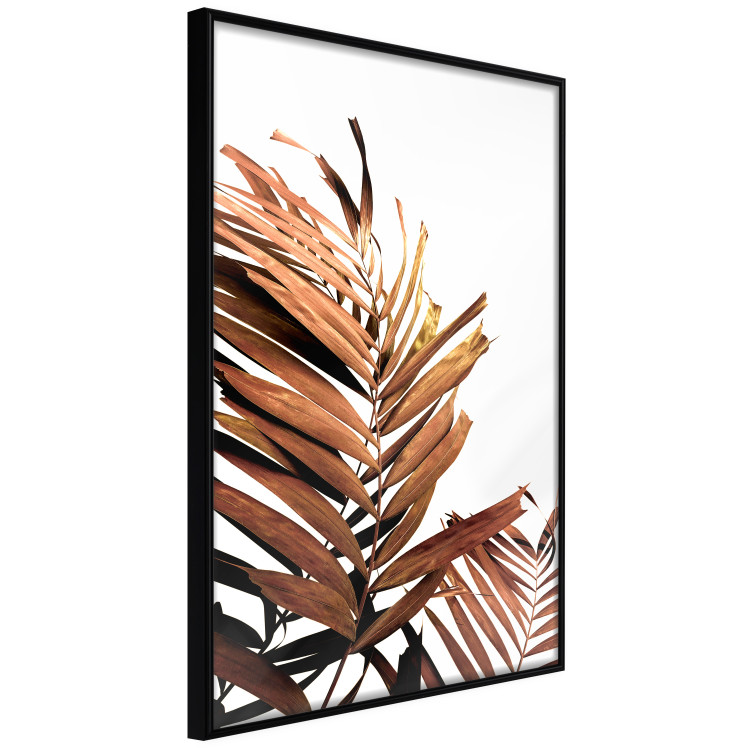 Poster Sunny Effect - tropical leaf in brown hue on white background 123771 additionalImage 12