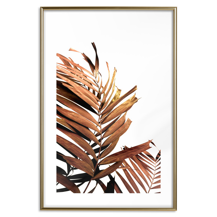 Poster Sunny Effect - tropical leaf in brown hue on white background 123771 additionalImage 16