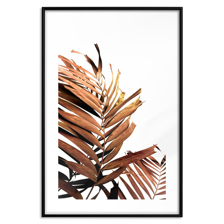 Poster Sunny Effect - tropical leaf in brown hue on white background 123771 additionalImage 15