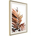 Poster Sunny Effect - tropical leaf in brown hue on white background 123771 additionalThumb 2