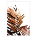 Poster Sunny Effect - tropical leaf in brown hue on white background 123771