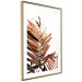 Poster Sunny Effect - tropical leaf in brown hue on white background 123771 additionalThumb 8