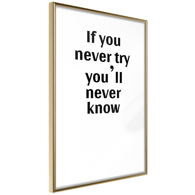 Wall Poster If you never try you'll never know - English inscription on white background 123971 additionalImage 12