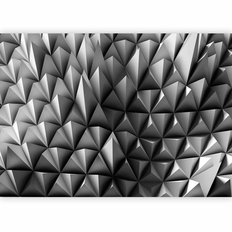 Wall Mural Spiky Identity 125071 additionalImage 1