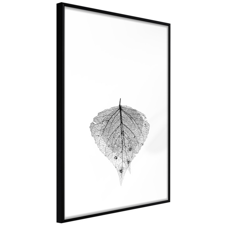 Wall Poster Macro Leaf - black and white leaf texture on a plain white background 129771 additionalImage 6