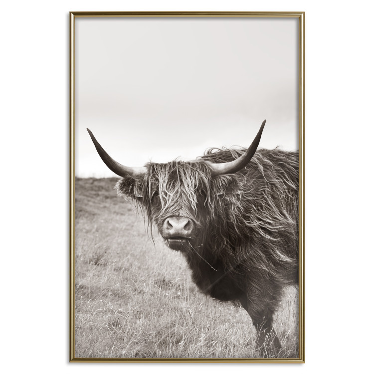 Wall Poster Ancient - animal with long hair against a field and clear sky 130271 additionalImage 17