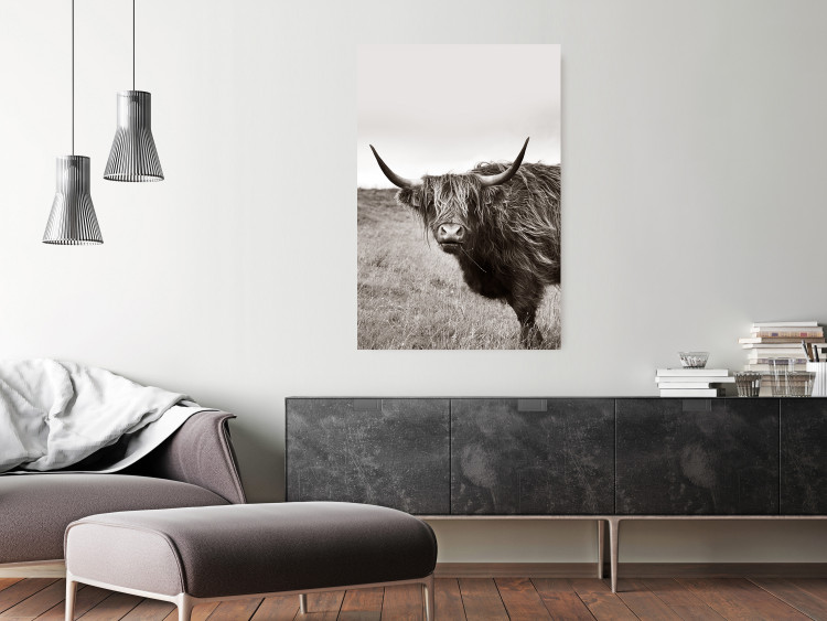 Wall Poster Ancient - animal with long hair against a field and clear sky 130271 additionalImage 4