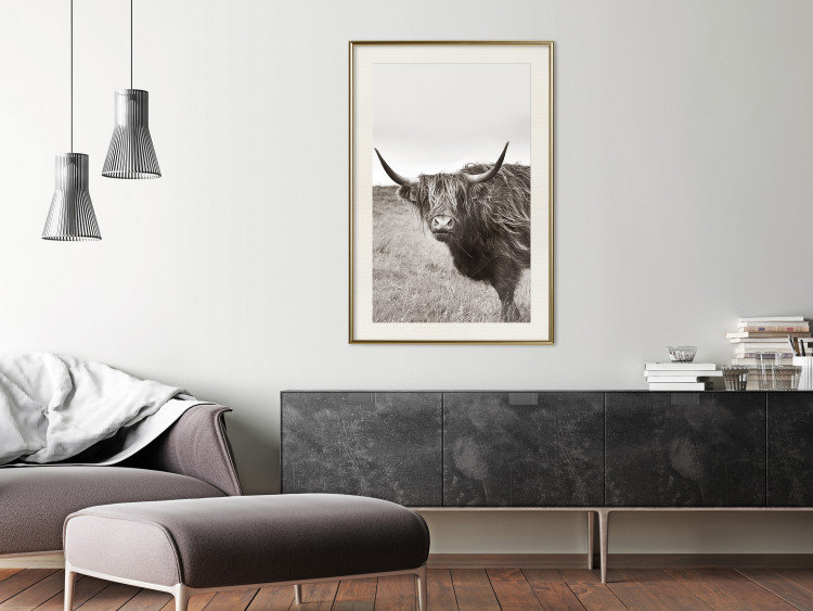 Wall Poster Ancient - animal with long hair against a field and clear sky 130271 additionalImage 22