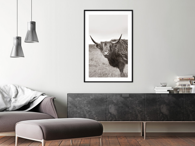 Wall Poster Ancient - animal with long hair against a field and clear sky 130271 additionalImage 23