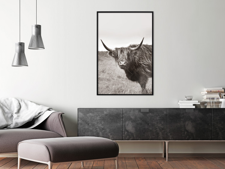 Wall Poster Ancient - animal with long hair against a field and clear sky 130271 additionalImage 4