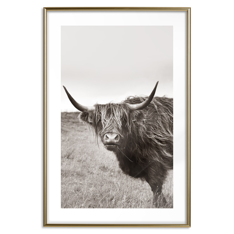 Wall Poster Ancient - animal with long hair against a field and clear sky 130271 additionalImage 14