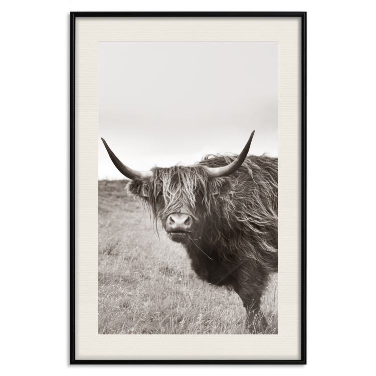 Wall Poster Ancient - animal with long hair against a field and clear sky 130271 additionalImage 19