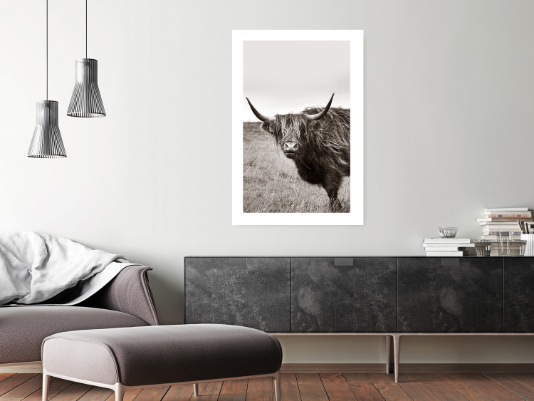 Wall Poster Ancient - animal with long hair against a field and clear sky 130271 additionalImage 5