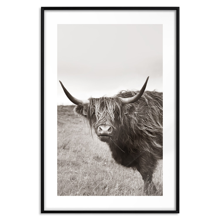 Wall Poster Ancient - animal with long hair against a field and clear sky 130271 additionalImage 15