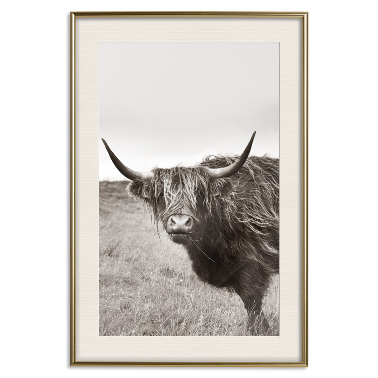 Wall Poster Ancient - animal with long hair against a field and clear sky 130271 additionalImage 20