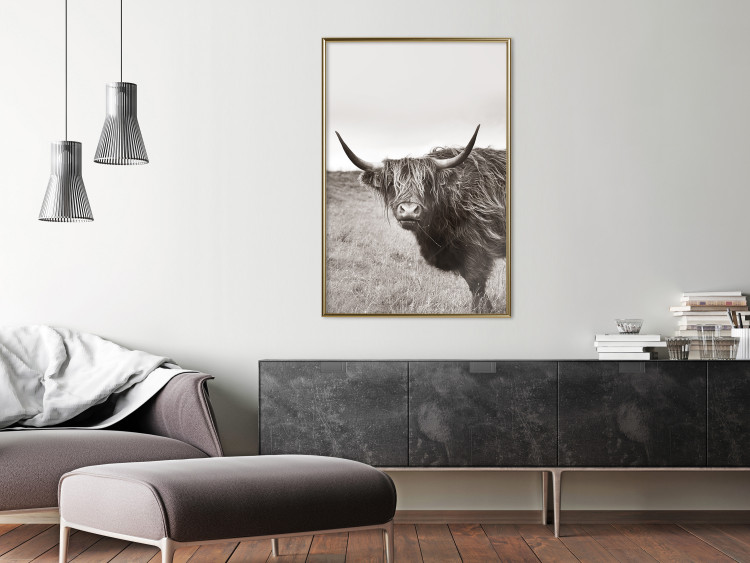 Wall Poster Ancient - animal with long hair against a field and clear sky 130271 additionalImage 7