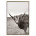 Wall Poster Ancient - animal with long hair against a field and clear sky 130271 additionalThumb 17