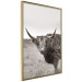 Wall Poster Ancient - animal with long hair against a field and clear sky 130271 additionalThumb 14