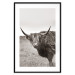 Wall Poster Ancient - animal with long hair against a field and clear sky 130271 additionalThumb 15