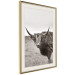 Wall Poster Ancient - animal with long hair against a field and clear sky 130271 additionalThumb 3