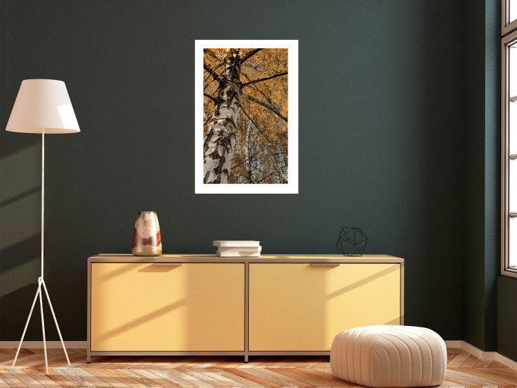 Poster Autumn Palette - autumn landscape of trees with golden leaves 131771 additionalImage 3