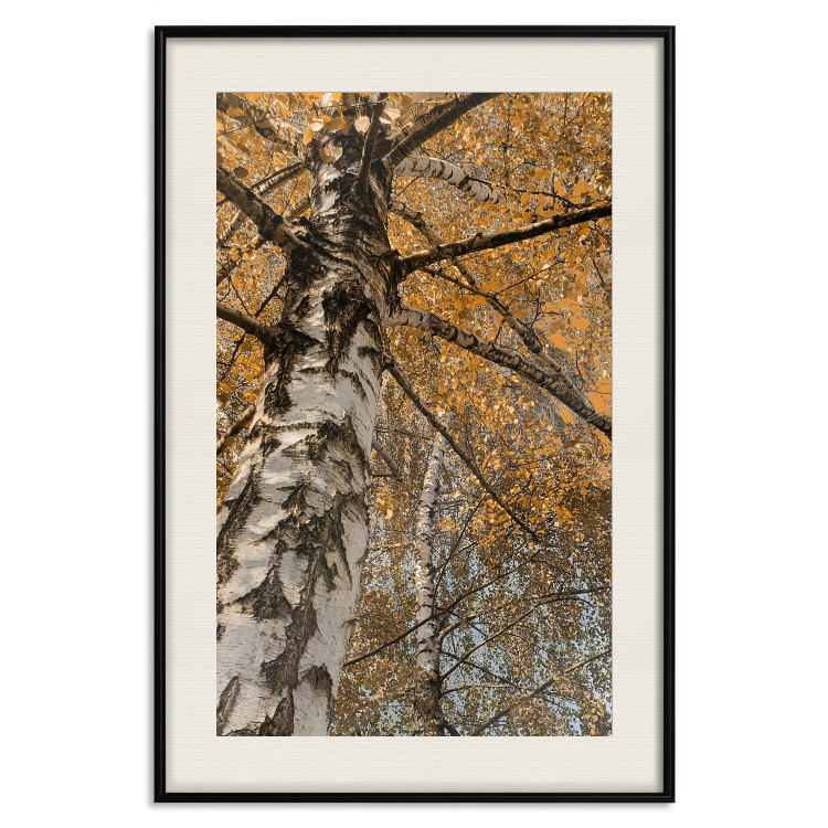 Poster Autumn Palette - autumn landscape of trees with golden leaves 131771 additionalImage 19