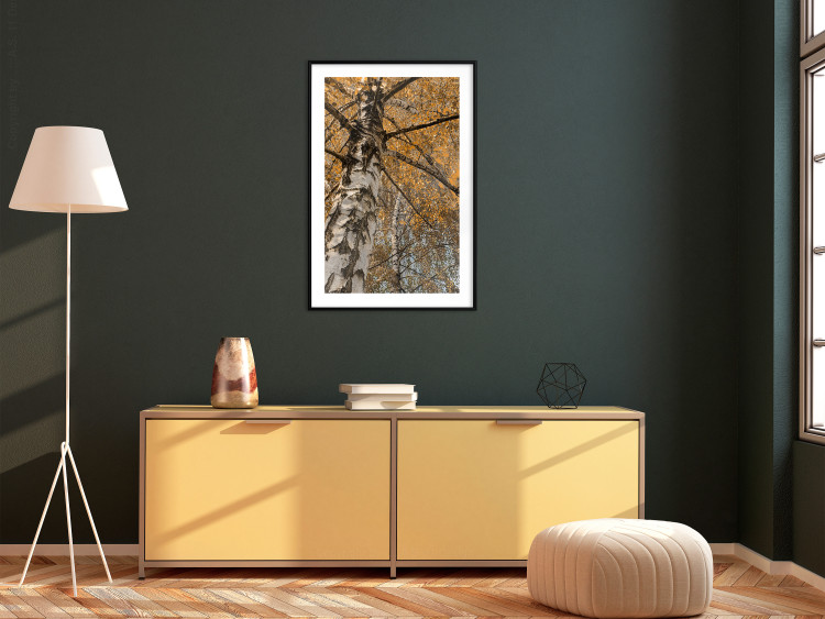 Poster Autumn Palette - autumn landscape of trees with golden leaves 131771 additionalImage 23