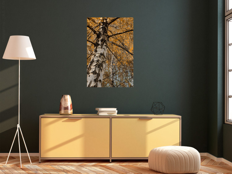 Poster Autumn Palette - autumn landscape of trees with golden leaves 131771 additionalImage 2