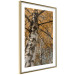 Poster Autumn Palette - autumn landscape of trees with golden leaves 131771 additionalThumb 9
