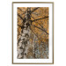 Poster Autumn Palette - autumn landscape of trees with golden leaves 131771 additionalThumb 14
