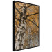 Poster Autumn Palette - autumn landscape of trees with golden leaves 131771 additionalThumb 13