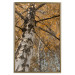 Poster Autumn Palette - autumn landscape of trees with golden leaves 131771 additionalThumb 17
