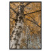 Poster Autumn Palette - autumn landscape of trees with golden leaves 131771 additionalThumb 18