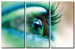 Canvas Art Print Turquoise eye 58871