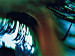 Canvas Art Print Turquoise eye 58871 additionalThumb 2