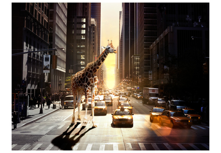Wall Mural New York - Animal Theme with Giraffe against Urban Architecture Background 61471 additionalImage 1