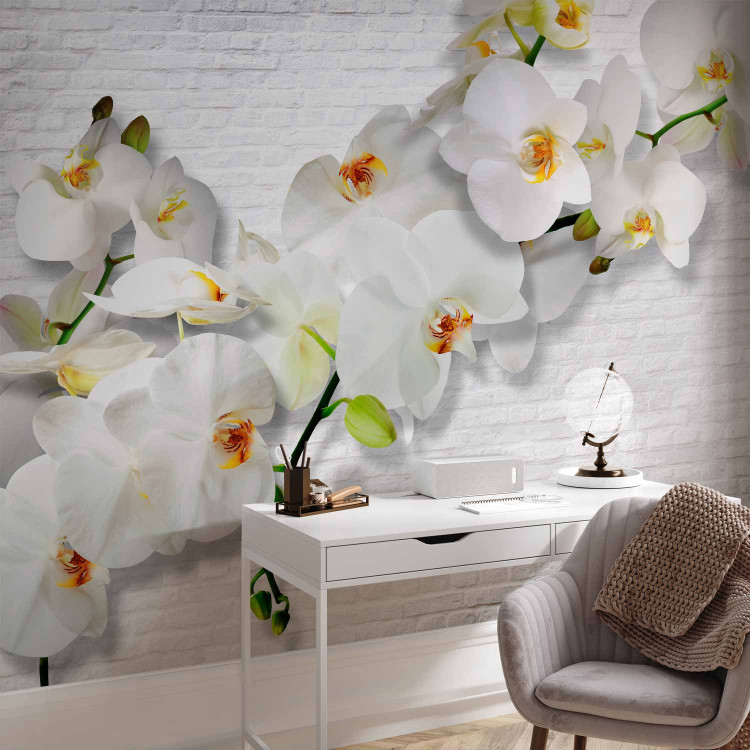 Wall Mural Blooming Nature - Composition with orchid and buds on a white wall background 61871 additionalImage 4