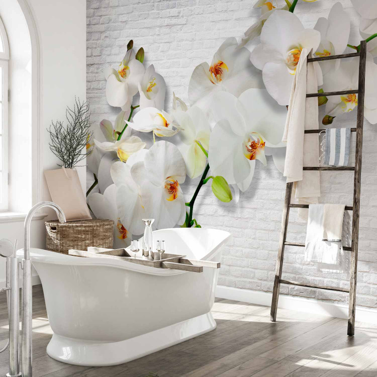 Wall Mural Blooming Nature - Composition with orchid and buds on a white wall background 61871 additionalImage 8
