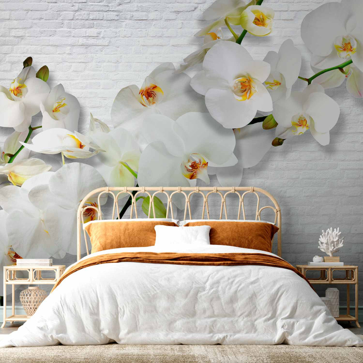 Wall Mural Blooming Nature - Composition with orchid and buds on a white wall background 61871 additionalImage 2