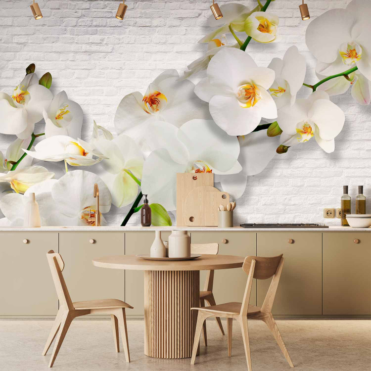 Wall Mural Blooming Nature - Composition with orchid and buds on a white wall background 61871 additionalImage 6