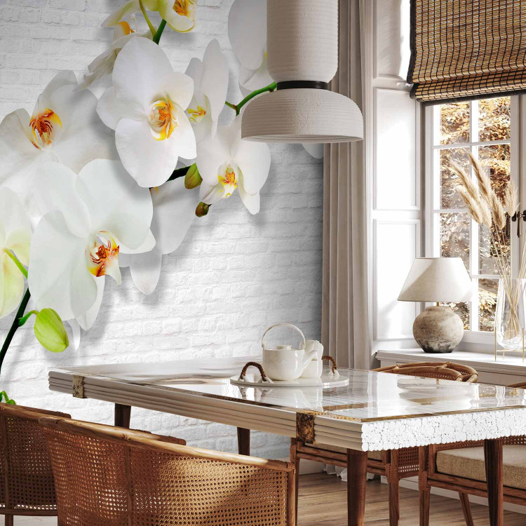 Wall Mural Blooming Nature - Composition with orchid and buds on a white wall background 61871 additionalImage 7