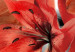 Canvas Art Print Flowery Battle 92971 additionalThumb 5