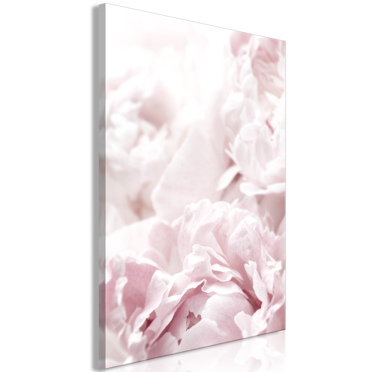 Canvas Art Print Beauty of Nature (1-part) - Peony Flowers in Shades of Pink 114981 additionalImage 2
