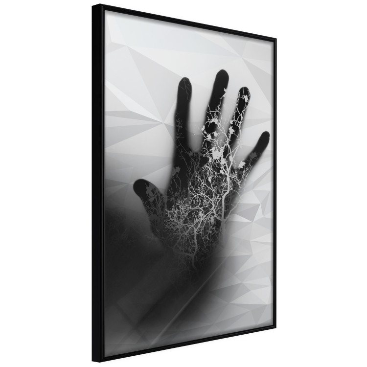 Poster Magical Hand - black and white geometric abstraction with plant motif 117281 additionalImage 11
