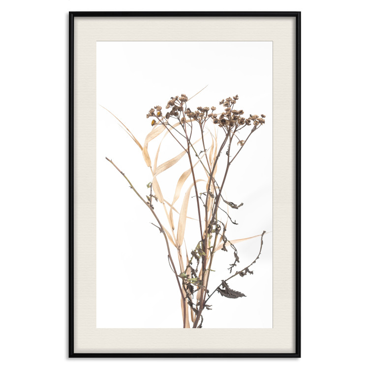 Poster Chamomile - simple autumn composition with a botanical motif on a white background 119181 additionalImage 18