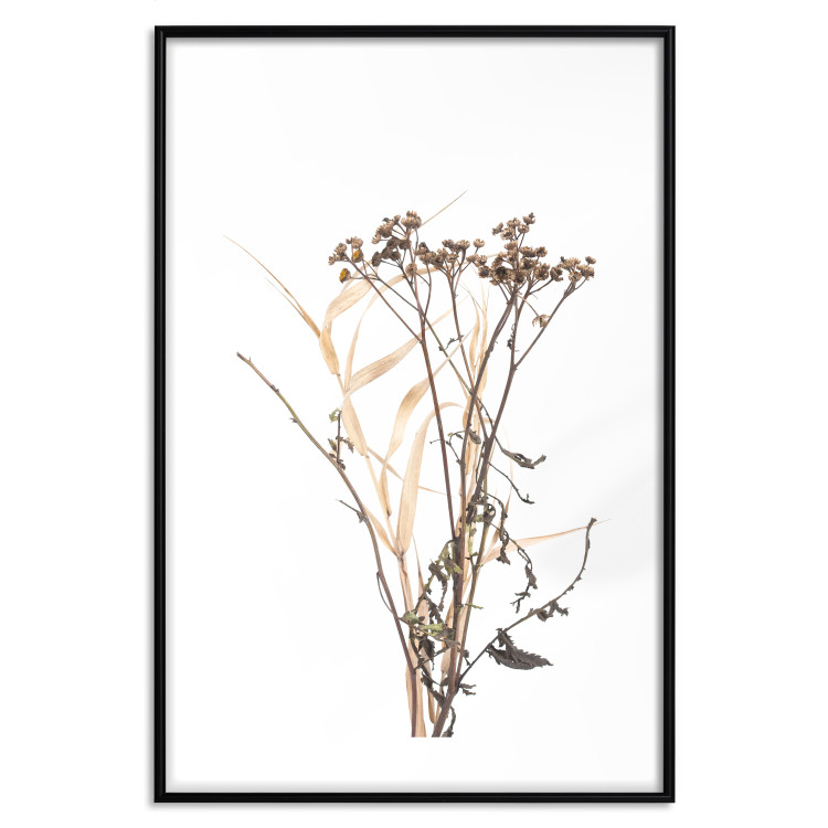 Poster Chamomile - simple autumn composition with a botanical motif on a white background 119181 additionalImage 15