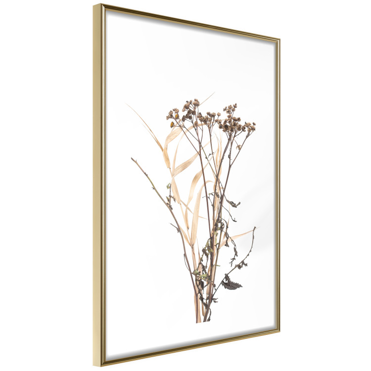 Poster Chamomile - simple autumn composition with a botanical motif on a white background 119181 additionalImage 10