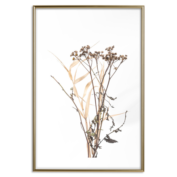 Poster Chamomile - simple autumn composition with a botanical motif on a white background 119181 additionalImage 16